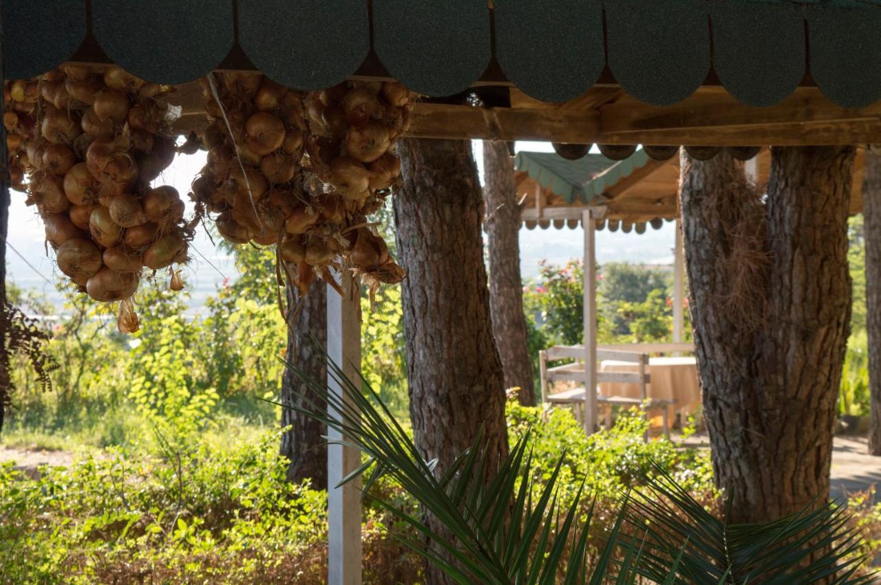 Hotel Nature Kolonje Zewnętrze zdjęcie
