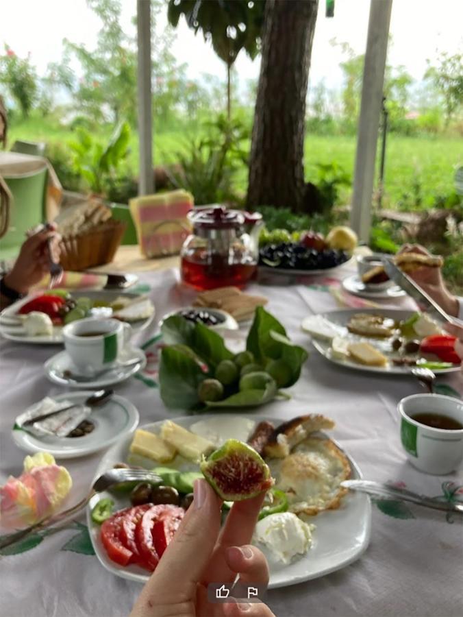 Hotel Nature Kolonje Zewnętrze zdjęcie