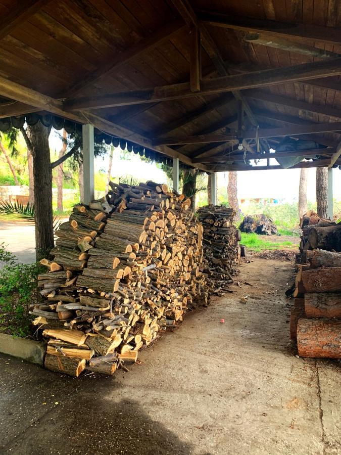 Hotel Nature Kolonje Zewnętrze zdjęcie
