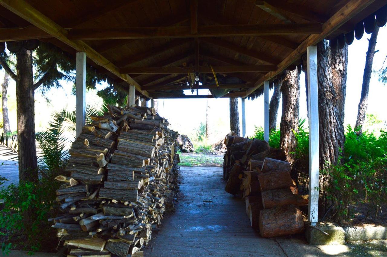 Hotel Nature Kolonje Zewnętrze zdjęcie